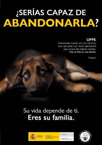 Consell: UPPE