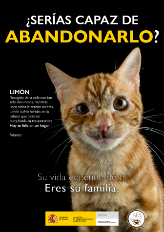 Consell: LIMON